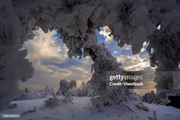 heng mountain snow in hengyang,hunan province,china - rime ice stock pictures, royalty-free photos & images