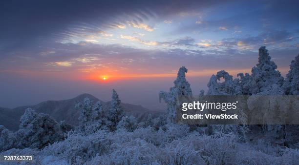 heng mountain snow in hengyang,hunan province,china - rime ice stock pictures, royalty-free photos & images