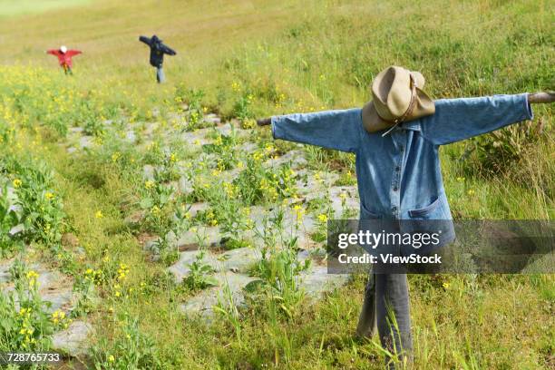 scarecrow - scarecrow faces stockfoto's en -beelden