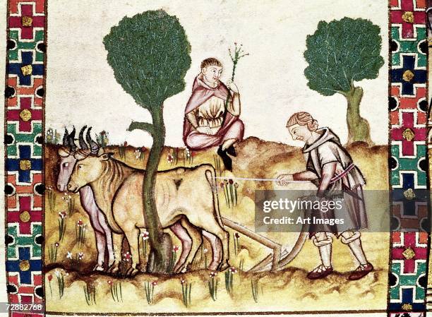 Farmer teaching his son to plough a field