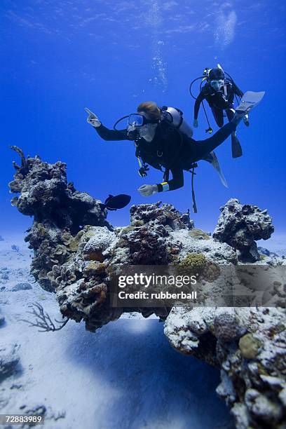 couple scuba diving - frogmen stock-fotos und bilder