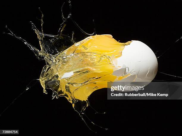 exploding egg - broken stock pictures, royalty-free photos & images
