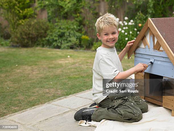 boy (6-7 years) painting kennel in back yard, portrait - kennel stock pictures, royalty-free photos & images