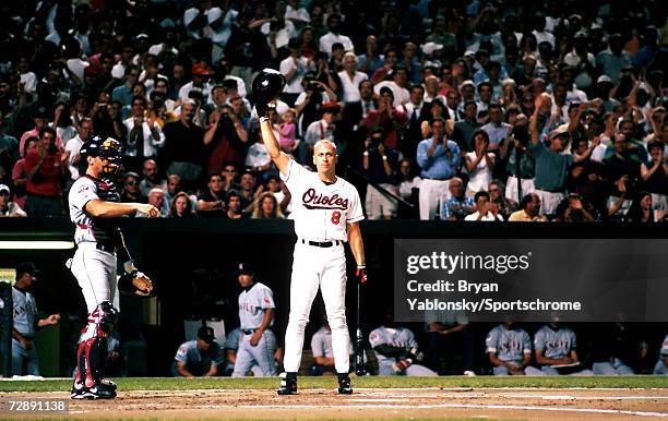 Cal Ripken Corner 602 Cal Ripken 1995 Photos & High Res Pictures - Getty Images