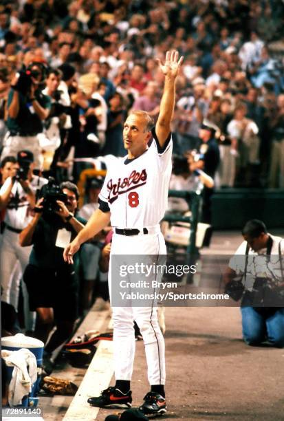 Cal Ripken 2130 602 Cal Ripken 1995 Photos & High Res Pictures - Getty Images