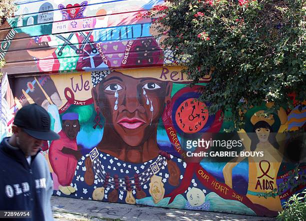 San Francisco, UNITED STATES: Murals are seen 23 December 2006 on Balmy Street in San Francisco's Mission District, a predominantly working-class...