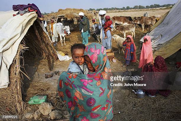 Displaced Baluch tribes people crowd with their livestock next to their makeshift huts at a temporary camp on December 28, 2006 in Jafarabad,...