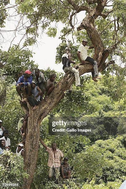 Crowds enjoying the fight during a traditional fist fighting match on December 29, 2006 in Tshaulu Village, Venda, South Africa. Local people take...