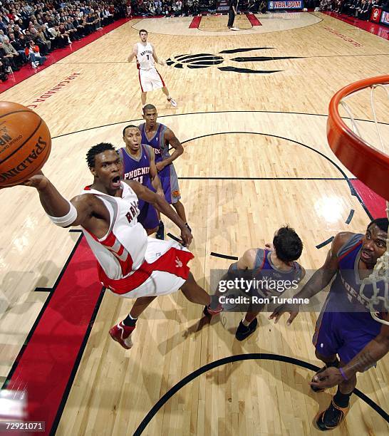 Bosh Raptors 238 Steve Bosh Stock Photos, High-Res Pictures, and Images - Getty Images