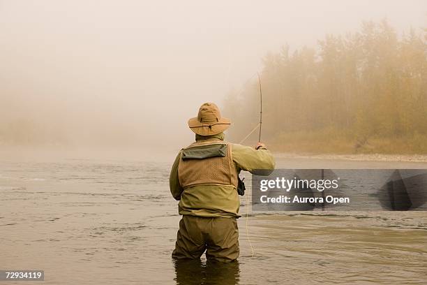 a man fly-fishing on elk river, bc, canada. - trout stock pictures, royalty-free photos & images