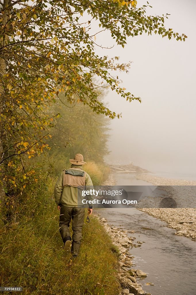 A man walks near the river while fly-fishing on Elk River, BC, Canada.