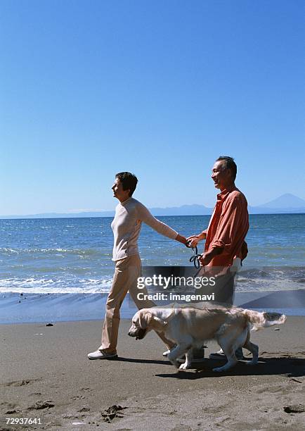 walk with dog - man and woman holding hands profile stock-fotos und bilder