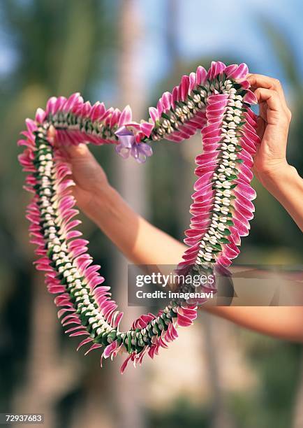 lei - flower necklace stock pictures, royalty-free photos & images