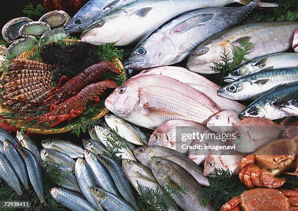 fishery products - amberjack stock pictures, royalty-free photos & images