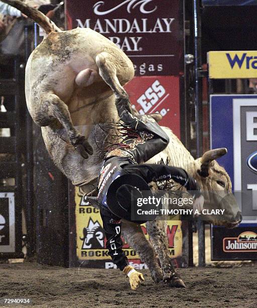 Justin Reed Bull Rider 334 Mcbride Oklahoma Stock Photos, High-Res Pictures, and Images ...