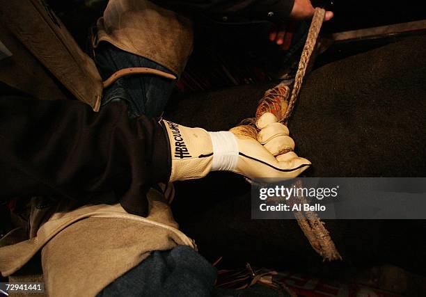 Bullrider gets a firm grip on the bull before his ride during the Versus Invitational Professional Bull Riding Tournament on January 6, 2007 at...