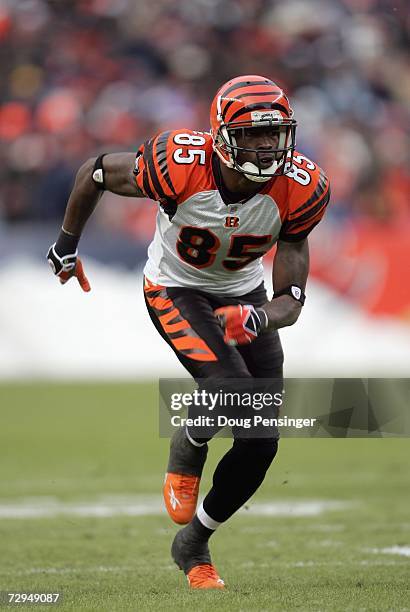 Chad Johnson of the Cincinnati Bengals runs up the field during the game against Denver Broncos, the Broncos defeated the Bengals 24-23 on December...