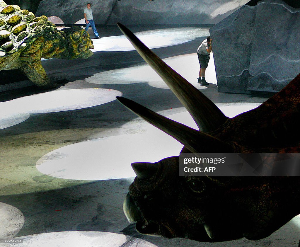 Models of a Torosaurus (R) and an Ankylo