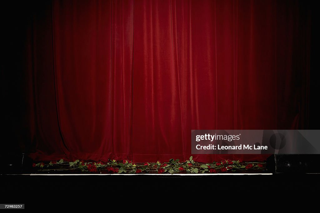 Red velvet theatre curtain, rose on stage