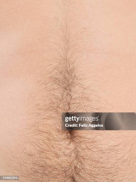 male abdomen, close-up, mid section - hairy body 個照片及圖片檔