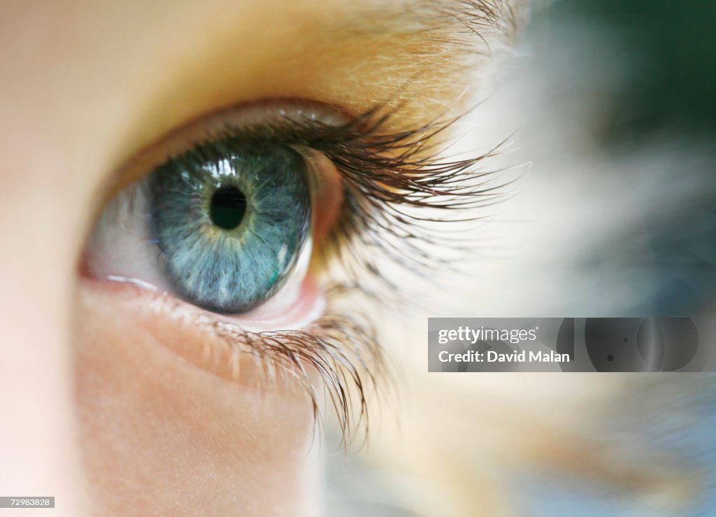 Boy (6-7), close up of eye,