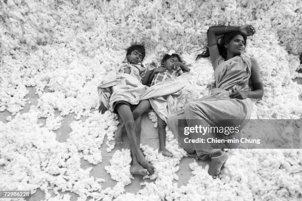 Mother rests next to her sleeping children on a pile of raw cotton at a ginning factory on November 14, 2006 in Jammikunda, Andrah Pradash, India.