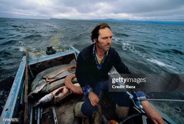 Ivan Shukshin, a kaluga fisherman, and a poacher, steers his motorboat off the indigenous Nivkh village of Tneyvakh, where the Amur meets the sea,...