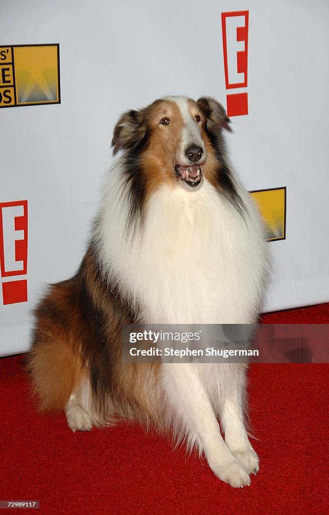 12th Annual Critics' Choice Awards - Arrivals