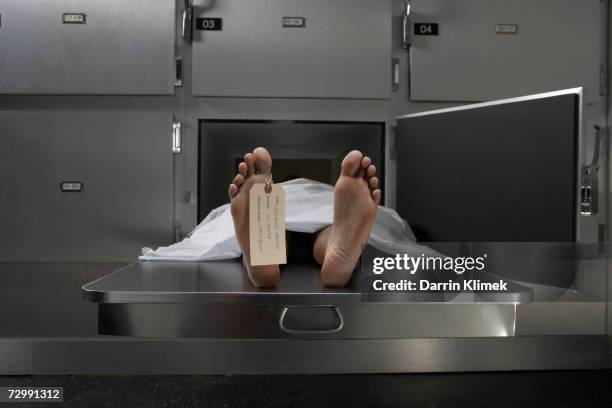 cadaver on autopsy table, label tied to toe - death concept stock pictures, royalty-free photos & images