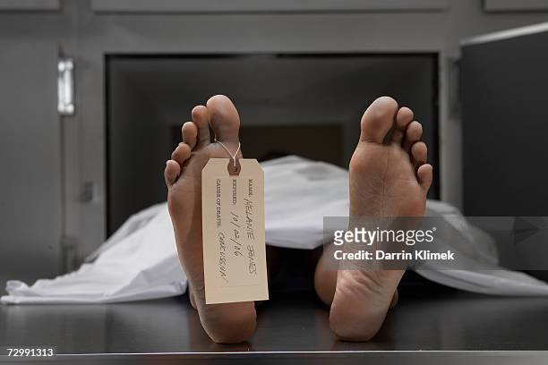 "cadaver on autopsy table, label tied to toe, close-up" - depósito de cadáveres fotografías e imágenes de stock