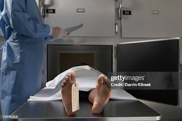 "cadaver on autopsy table, label tied to toe, close-up" - dead body stockfoto's en -beelden