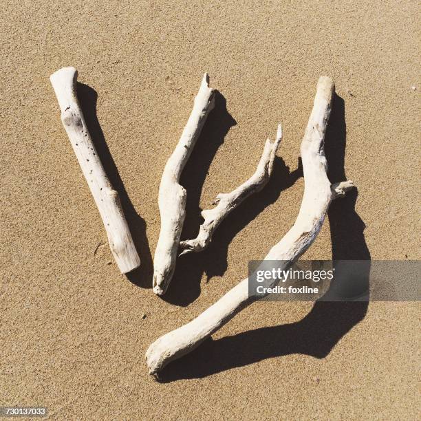 wooden sticks on the beach - drijfhout stockfoto's en -beelden