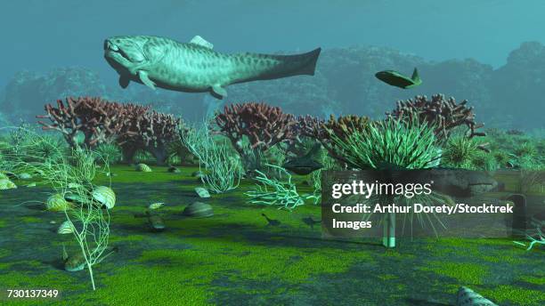 a large dunkelosteus and other armored fish in an aquatic devonian scene. - dunkleosteus stock illustrations