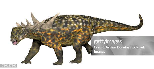 sauropelta, an early nodosaurid ankylosaur. - scute stock illustrations