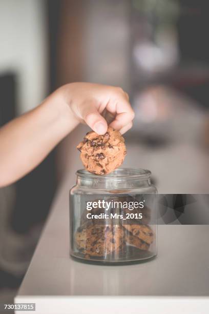 boys hand picking a chocolate cookie from a glass jar - child cookie jar stockfoto's en -beelden