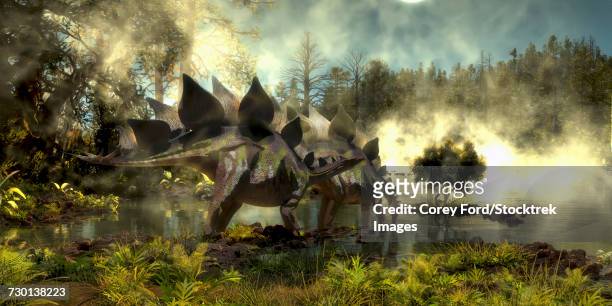 stegosaurus dinosaurs drinking water from a marsh. - scute stock illustrations