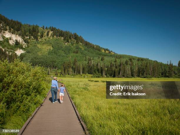 usa, utah, lake city, girl (4-5) with grandmother walking on boardwalk through wetland - salt lake county utah stockfoto's en -beelden