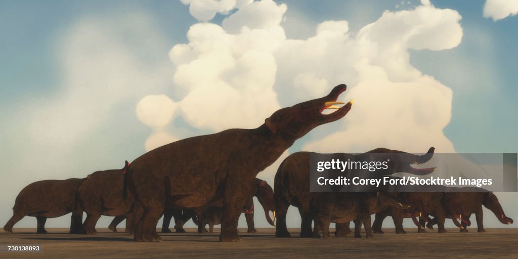 A Platybelodon herd gathers on the plains of Africa.