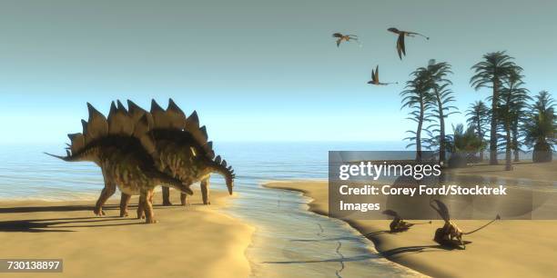 dimorphodon reptiles fly over two stegosaurus dinosaurs drinking from a stream. - plate side view stock illustrations