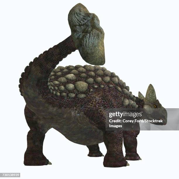 rear view of ankylosaurus. - scute stock illustrations