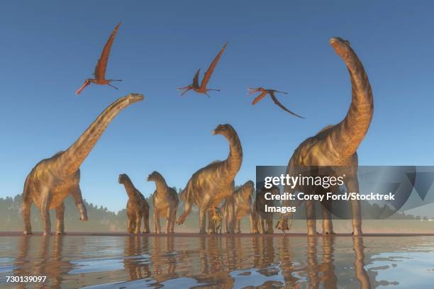 herd of argentinosaurus and deinocheirus dinosaurs with a flock of anhanguera above. - argentinosaurus stock illustrations