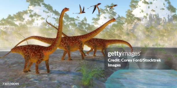 diplodocus dinosaurs drink from a river as a flock of dimorphodon fly above. - shallow stream stock illustrations