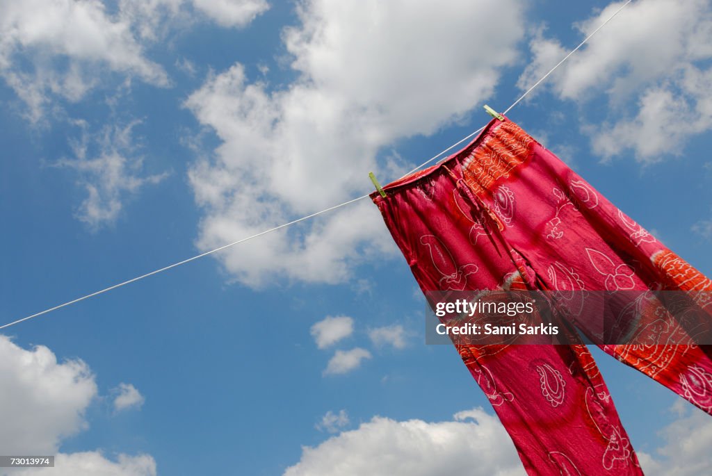 Pant hanging on washing line, low angle view