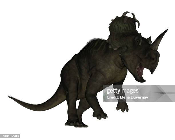 Centrosaurus Dinosaur Roaring White Background High-Res Vector Graphic