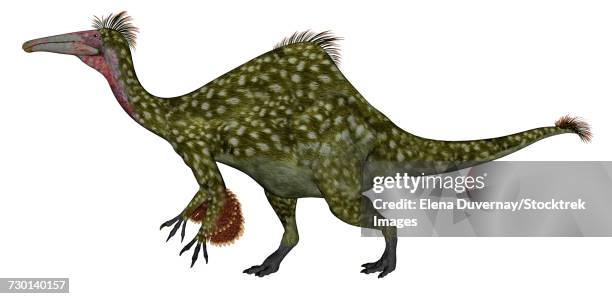 deinocheirus dinosaur isolated on white background. - allesfresser stock-grafiken, -clipart, -cartoons und -symbole