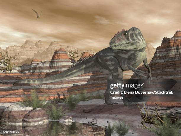 allosaurus dinosaur walking in the desert canyon by sunset. - allosaurus stock illustrations