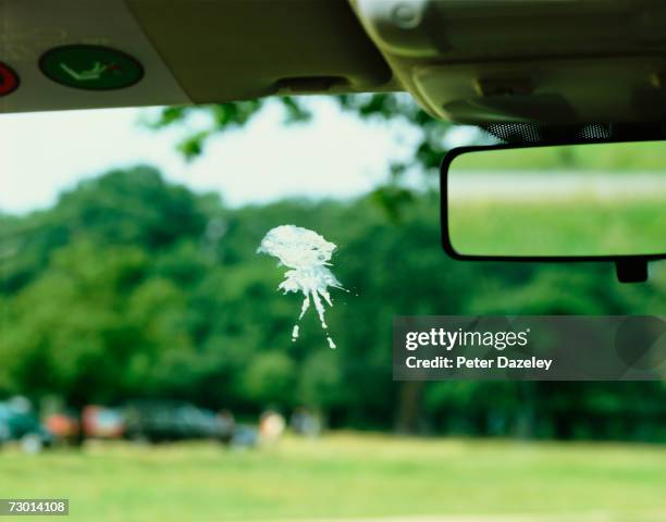 bird poo on car windscreen - vogelpoep stockfoto's en -beelden