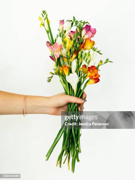 woman holding bouquet - freesia stock pictures, royalty-free photos & images