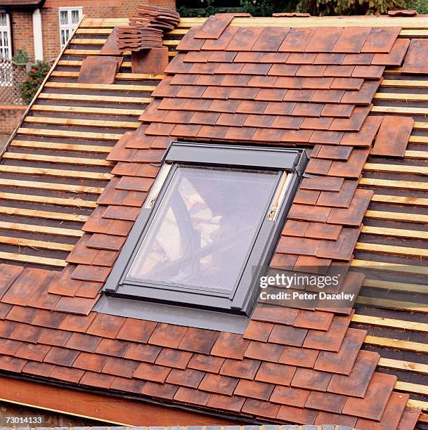 rooftop, elevated view - roof tile stock pictures, royalty-free photos & images