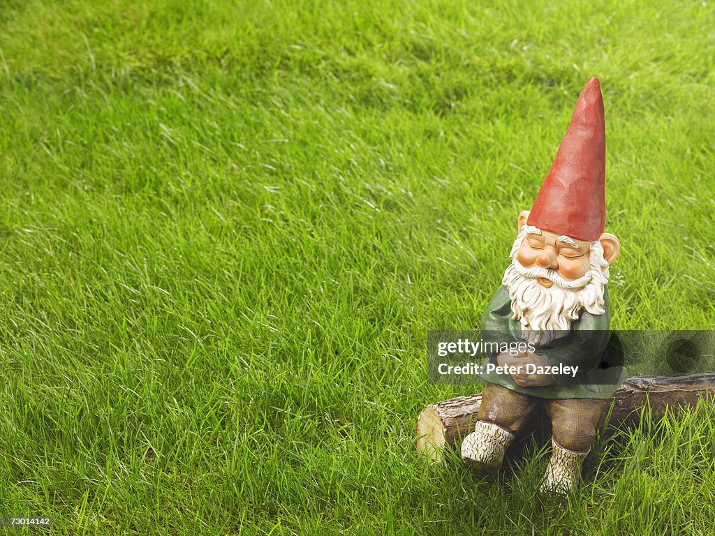 Garden gnome sitting on log, elevated view